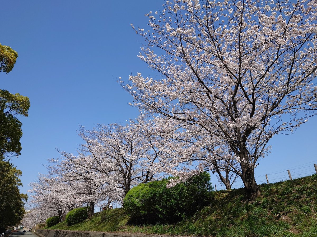 兵庫県伊丹市猪名川運動公園「第３・４運動広場」 サッカーグラウンド情報河川敷の土の飛行機が見えるグラウンドで駐車場は無料です。 –\サッカーキッズ子育て応援ブログ