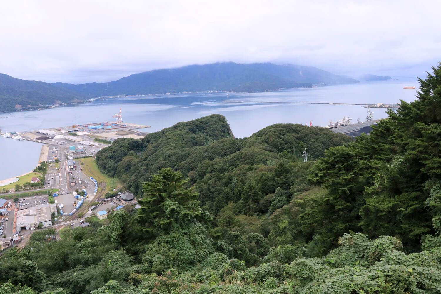 史跡金ヶ崎城跡 ホームメイト