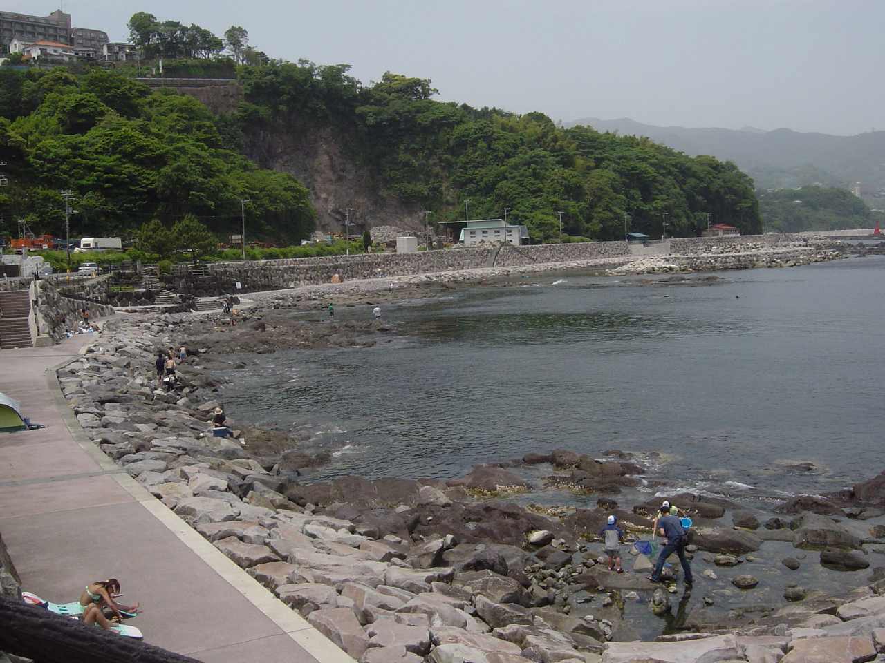 真鶴琴ヶ浜で浮き釣り: 別冊シーガルハウス旬をおいしく、採・獲・摂る！