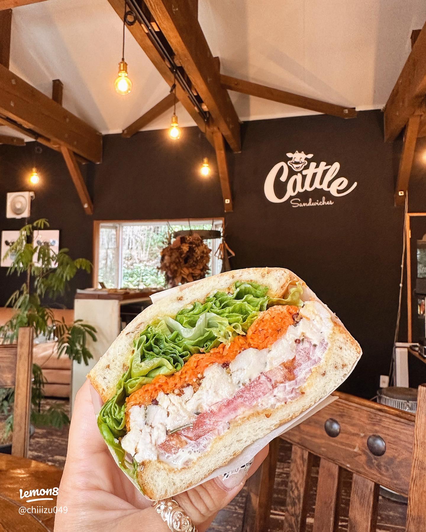 2025年3月「伊豆高原旅行」その3〜愛犬お宿 お食事編Mint Green