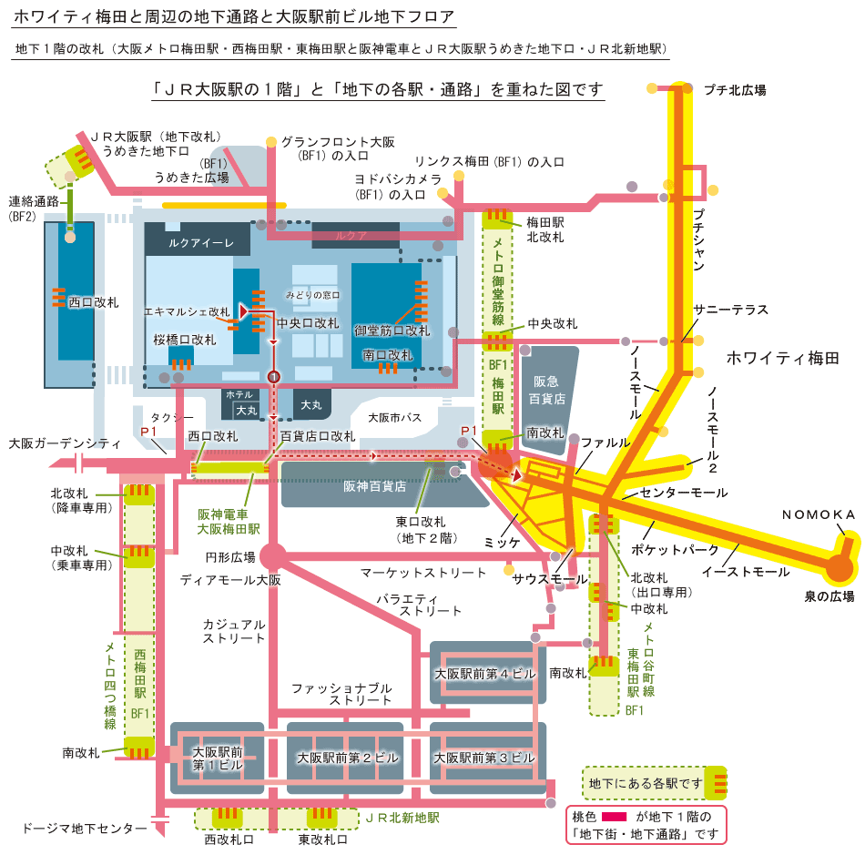 ユーザー事例 & レポート大阪市立大学