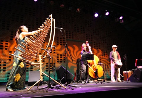 トルン ベトナム竹琴 奏者 小栗久美子インタビュ