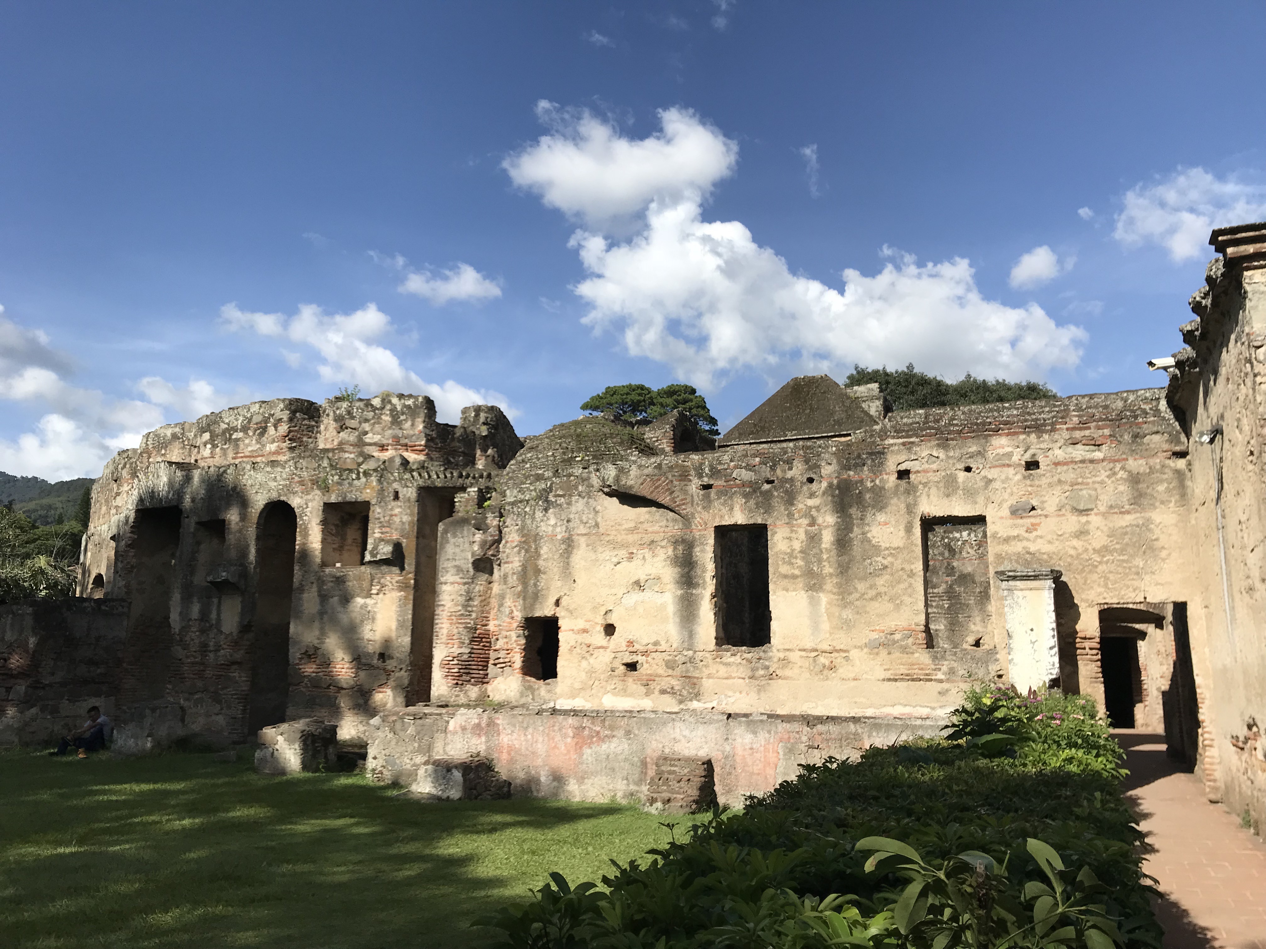 グアテマラの旅 ７ ～ティカル遺跡～』ティカル遺跡周辺 グアテマラ