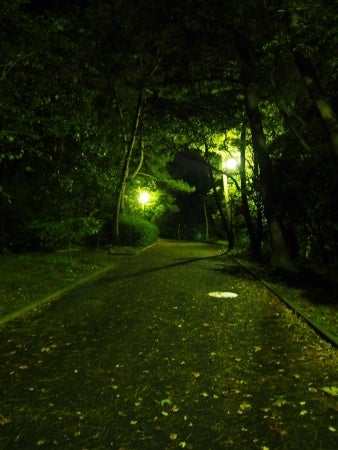 2024年 金沢まつり花火大会の混雑状況は？駐車場やアクセス方法も！ -