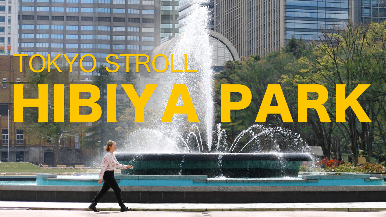 1,400개 이상의 히비야 스톡 사진,