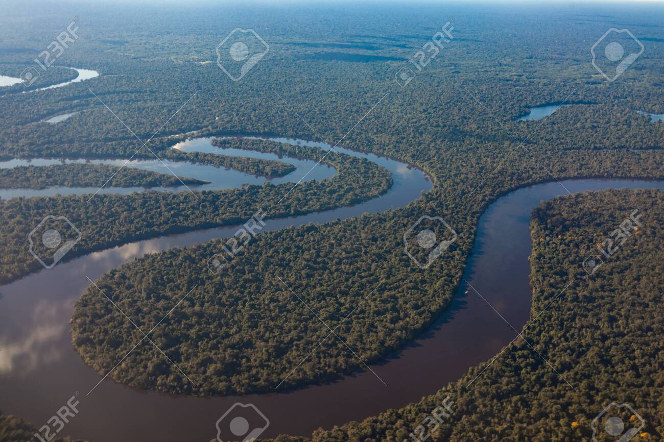 Amazon.co.jp: Archuu 50M防水水中釣りカメラ、30m延長ケーブル付き12VDC水中釣りカメラ海