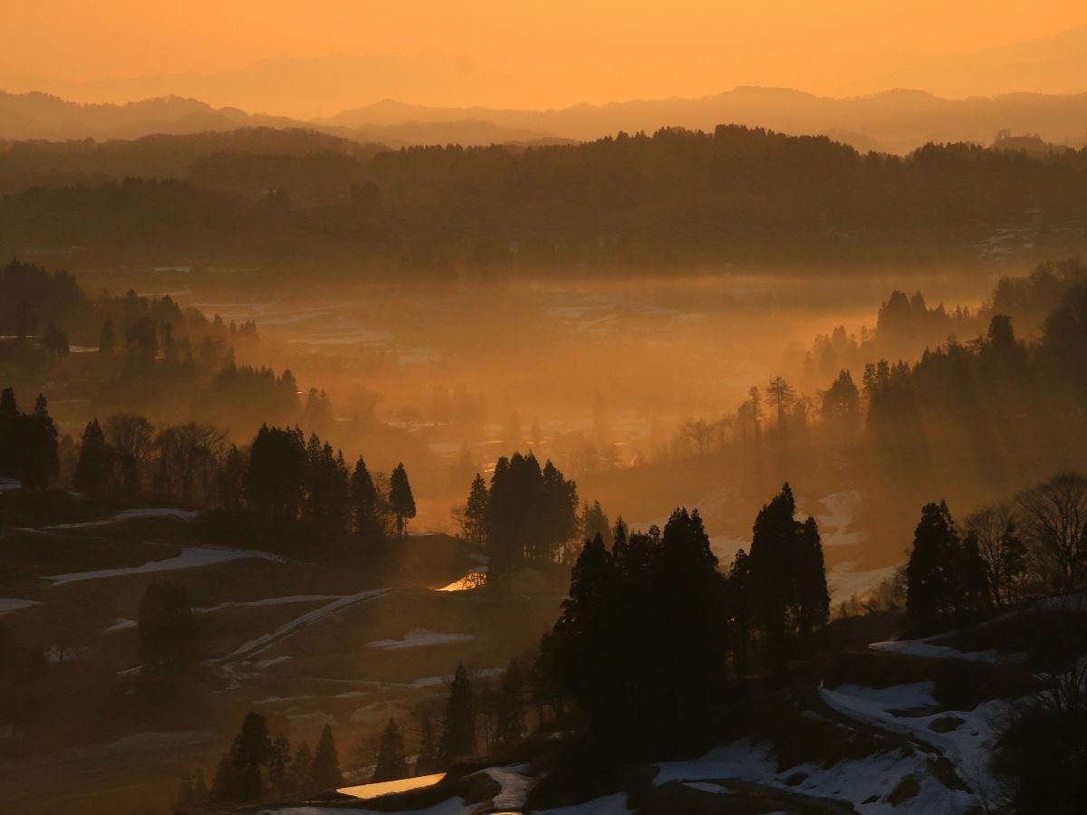 星峠の棚田 クチコミ・アクセス・営業時間十日町・津南 フォートラベル