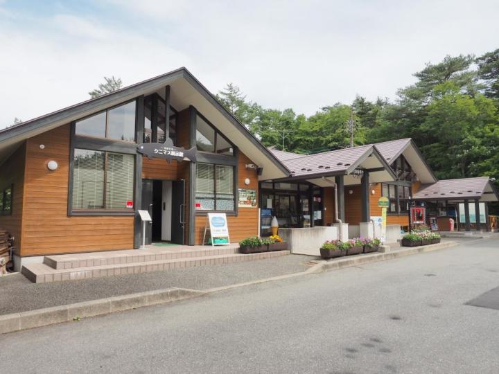 西湖コウモリ穴 青木ヶ原樹海にあるコウモリが棲む溶岩洞穴を散策しよう！ - ぶらりうぉーか