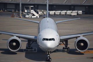 特別塗装“緑のANA”その実力は 2022年10月3日