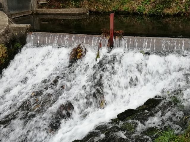 神秘の泉 丸池様観光スポットやまがた庄内観光サイト - 山形県庄内エリアの観光・旅行情報