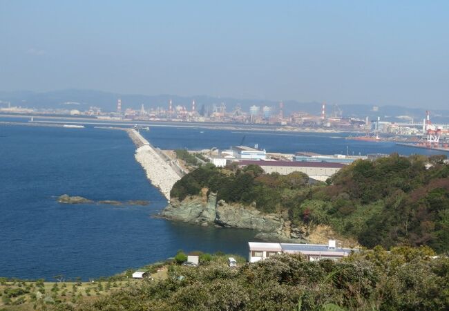 雑賀崎近畿でエギング