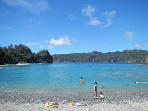 コペペの砲台 - 小笠原の口コミ クチコミ 情報サイト