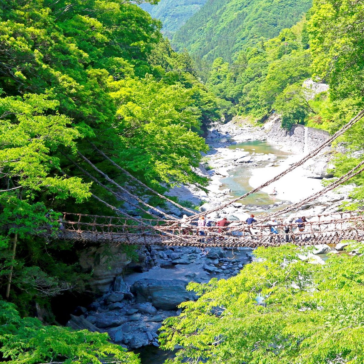 祖谷のかずら橋観光ガイド2025絶景・スリル・伝承が交差する日本三奇橋の旅 - 週末はじめました
