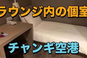 セントレアの国内線は何分前に空港に到着しておけば間に合うか - シュミカコ