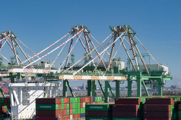 世界的に港の混雑MORN GLASS-最高の建築用ガラス サプライヤ