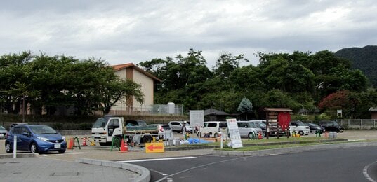 出雲大社 境内に数多く置かれているうさぎの石像たちの様子フォトギャラリー安産祈願・戌の日ドットコム