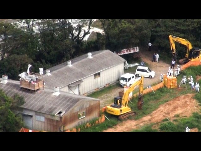 北九州の観光ミカン農園、廃業の危機 大雨で農園の3分の1被害、園内の道路も崩落 西日本新聞me