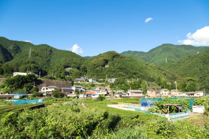 40代男性｢生活費8000円｣田舎暮らしで得た快感 20年間憧れていた暮らしに踏み切った結果街・住まい東洋経済オンライン