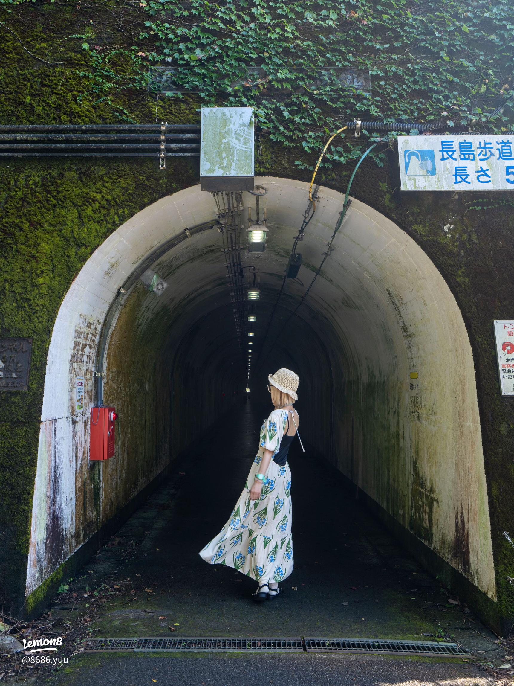 隠れた史跡？江戸時代の松並木を通って絶景の「こゆるぎの浜」まで散策！ - 西湘lover