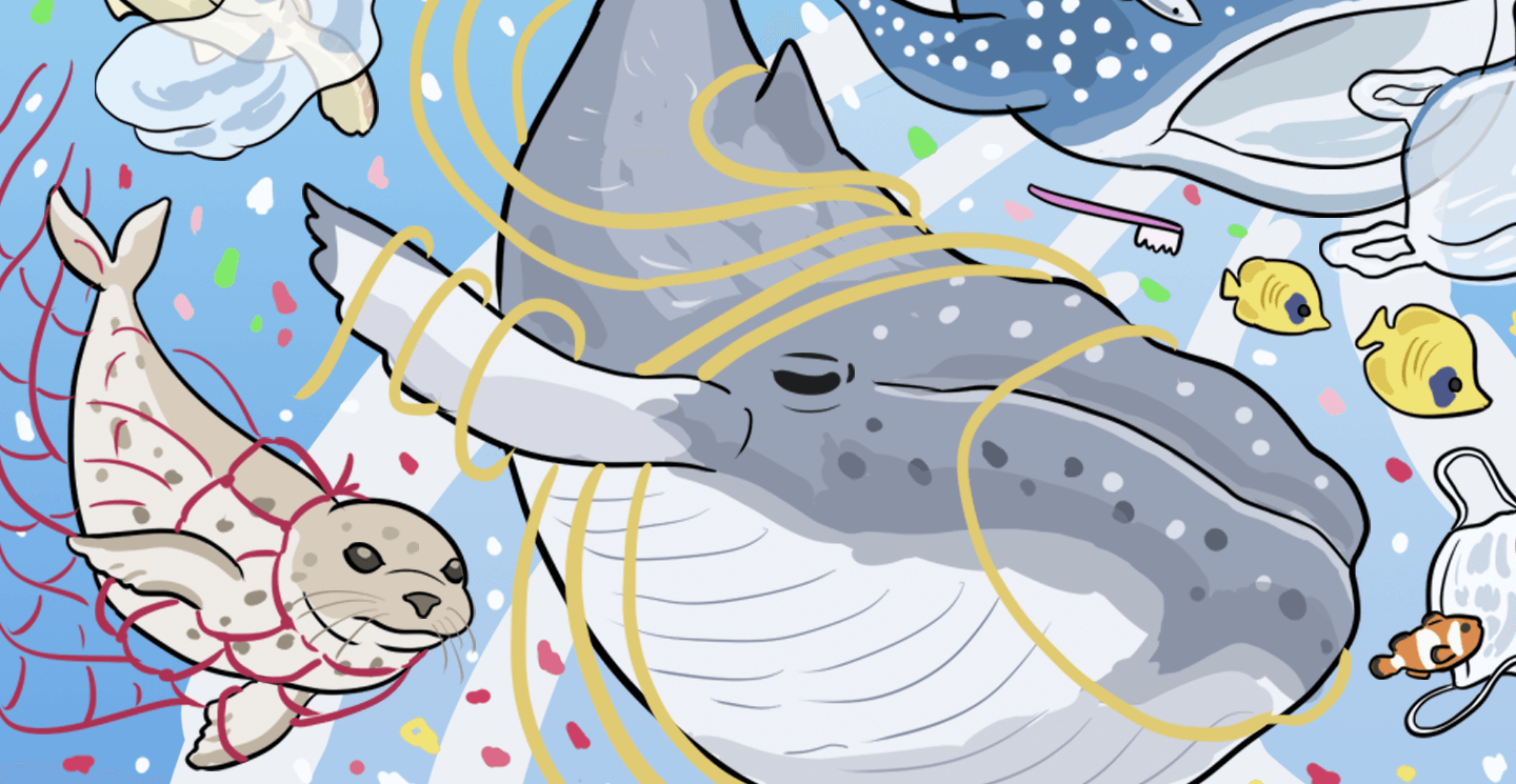 海洋プラスチック問題を考える海岸のプラスチックごみの実態 – 公益財団法人かながわ海岸美化財団