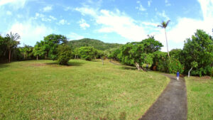 バンナ公園石垣島の自然をたっぷり味わえるネイチャーパーク