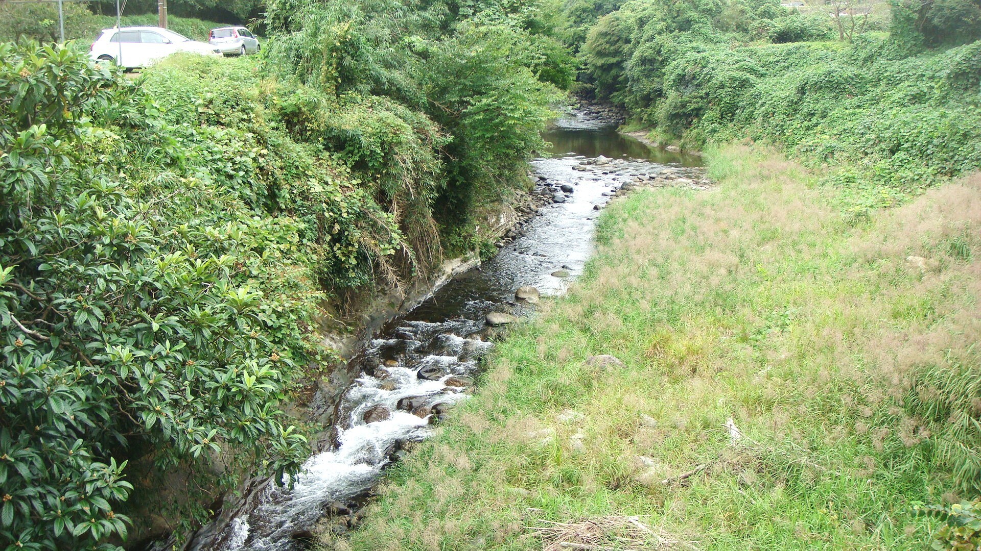 岩橋玄樹が2ndシングルリリース、夏にファンクラブツアー13公演を開催 - 音楽ナタリ