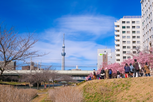 船堀駅周辺の住みやすさを知る東京都 アットホーム タウンライブラリー