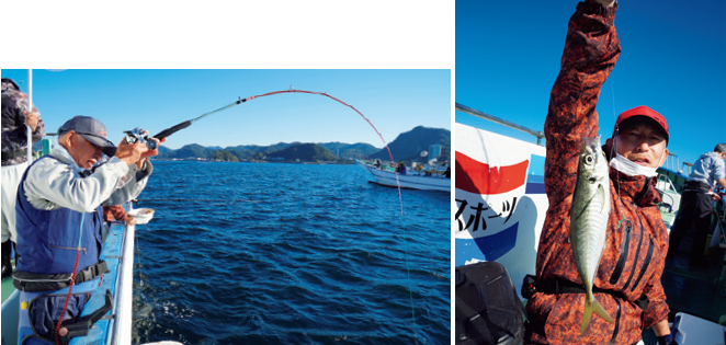 東京湾・保田港の釣船『村井丸』さんの利用方法ふっつのひと