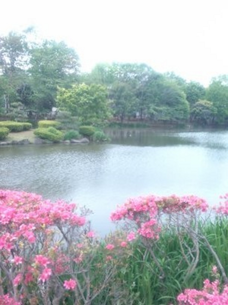 栂・美木多 大迫力のスライダーが魅力の「マルエス堺 原山公園プール」が6月29日 土 からいよいよオープンまちっと堺・泉北