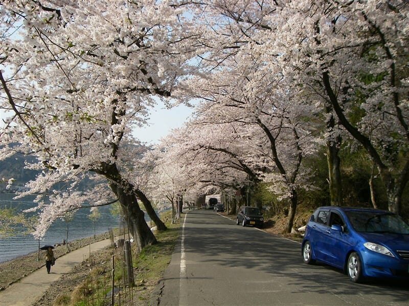 海津大崎 - 見どころ、アクセス