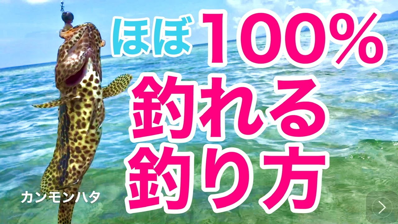 PMコース 石垣島で半日泳がせ釣りで大物を狙おう。アカジンミーバイを釣り上げろ！ 約３時間ファミリーフィッシング悠 -