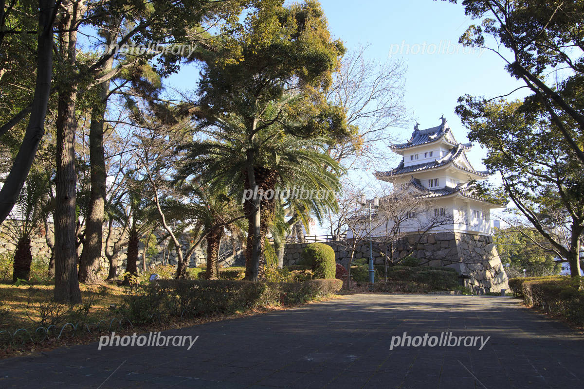 津お城公園のあじさい 1写真ギャラリー観光三重 かんこうみえ三重県の観光・旅行情報はここ