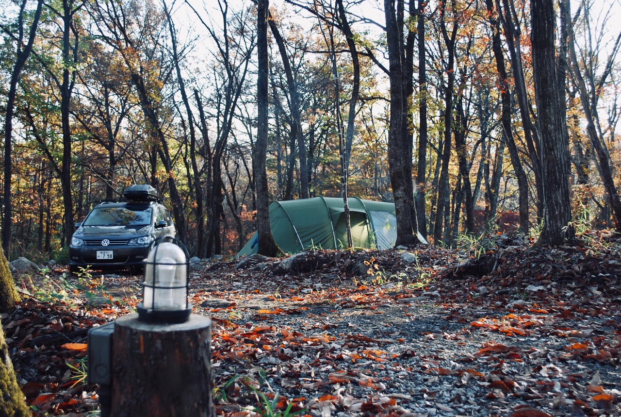 ⛺️🍳🌲🔥🤎 ⁡ ⁡