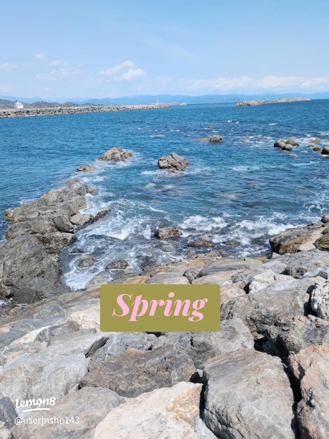 桂浜園地 口コミ情報・地図・近くの観光スポット -