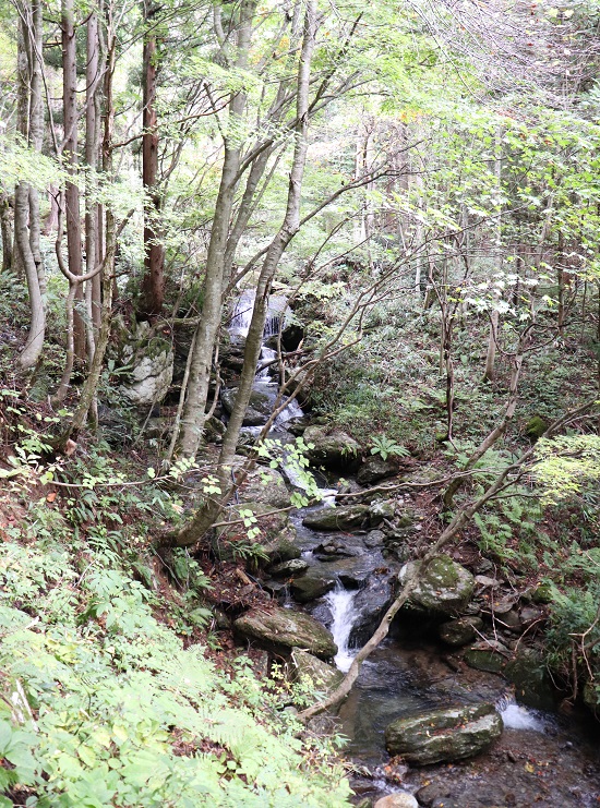 岩井滝 岡山県 鏡野町の観光地スポット