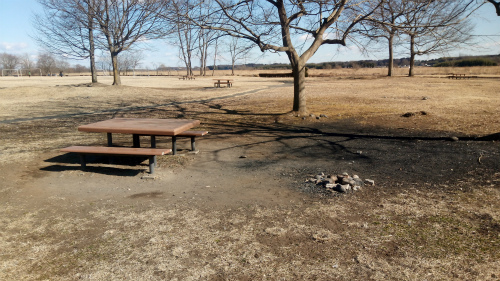 鬼怒川緑地運動公園バーベキュー広場 宇都宮市 予約不要！無料！気軽に楽しめる河川敷アウトドア