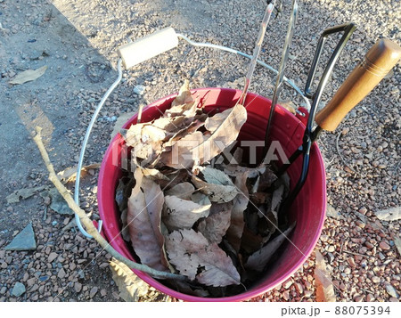 Gifte! 落ち葉焚きと焼き芋で深まる秋を楽しむ！家族がグランピングで見守る1泊2日のソロキャンプ体験