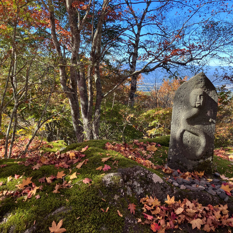 蓼科田舎暮らし ～晴耕雨楽～: 横谷観音展望台周辺の紅葉