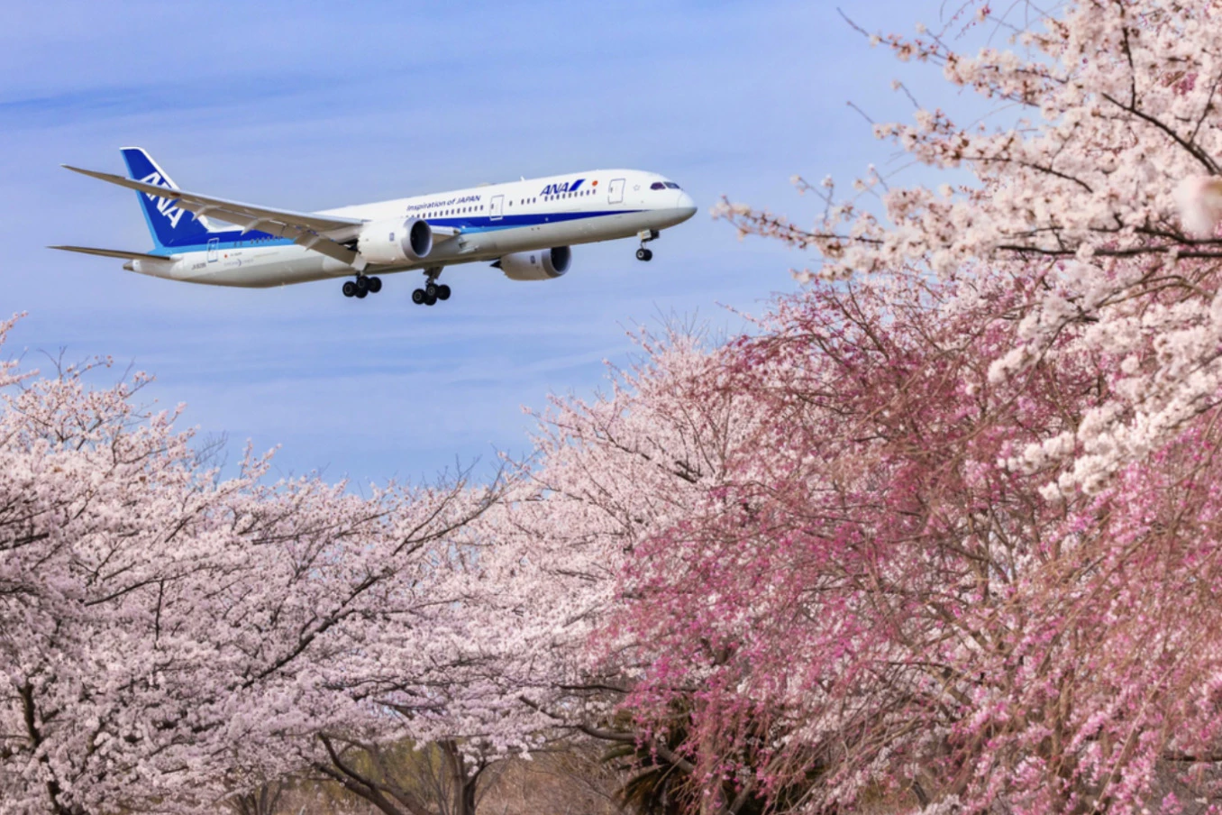 飛行機からの空の撮り方完全ガイド2025 年のリアルなLemon8ユーザー体験