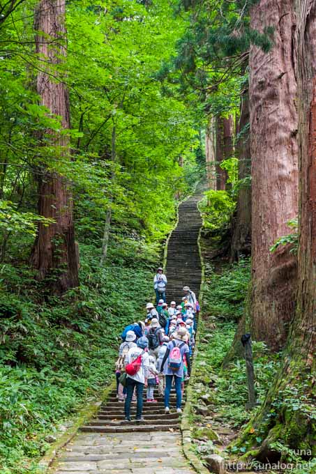 出羽三山：羽黒山2246段の石段を登って : 潮風香る街から