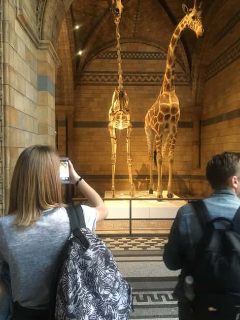ロンドン自然史博物館見どころ 観光ガイド