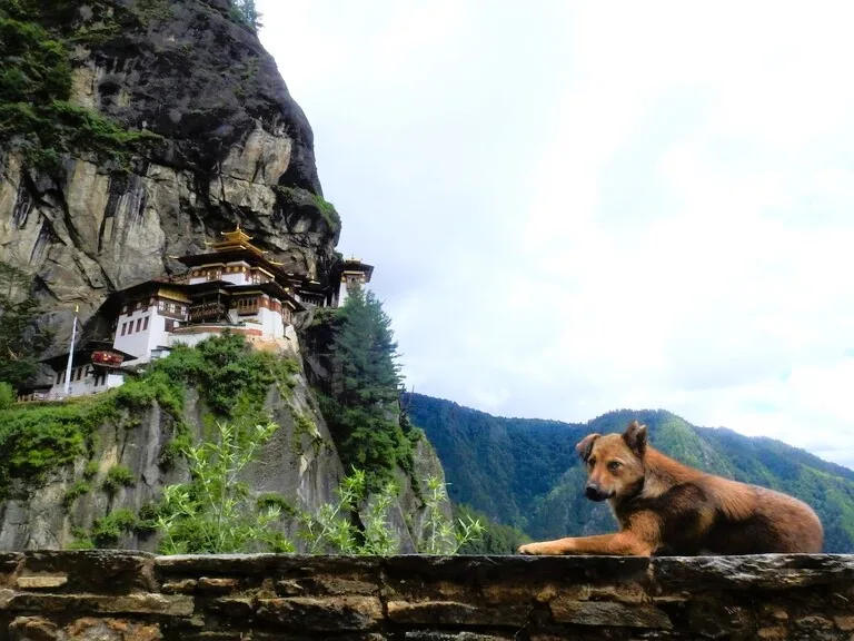 965 タクツァン僧院 Stock Photos,