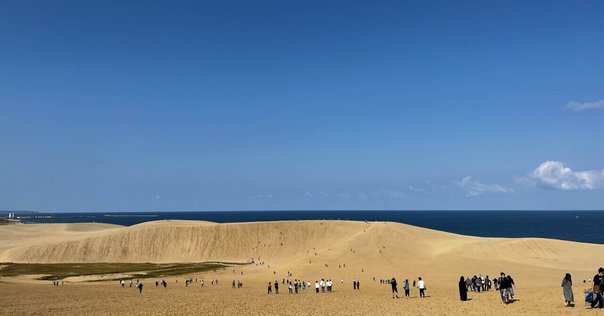 鳥取砂丘」エリアで自動運転の実証実験 東西エリアを結ぶ：回遊性の向上目指す -