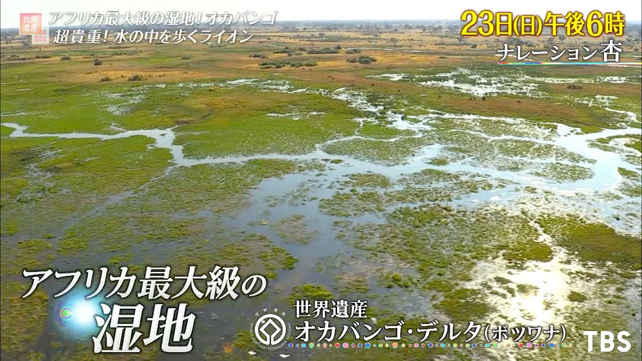 ボツワナの世界遺産「オカバンゴ・デルタ」とは？世界遺産マニアが解説世界遺産マニア
