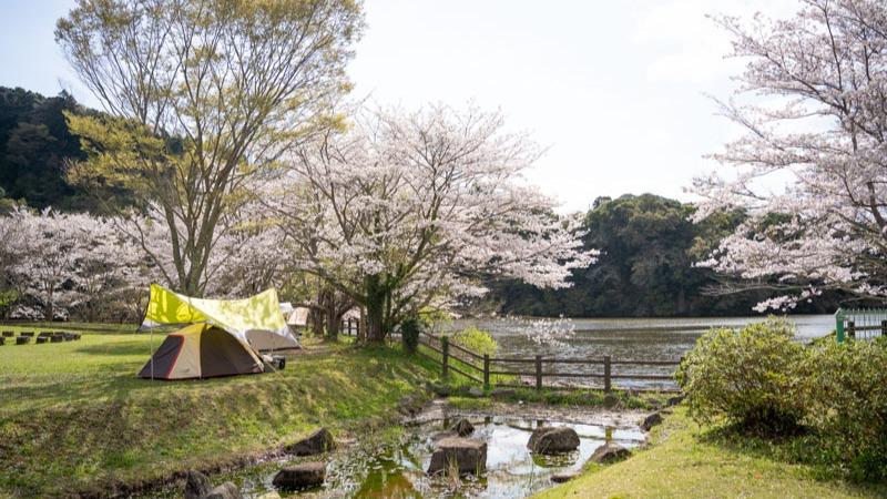 千葉のキャンプ場おすすめ13選！初心者・中級者・家族連れに最適な穴場を紹介 - EcoFlow
