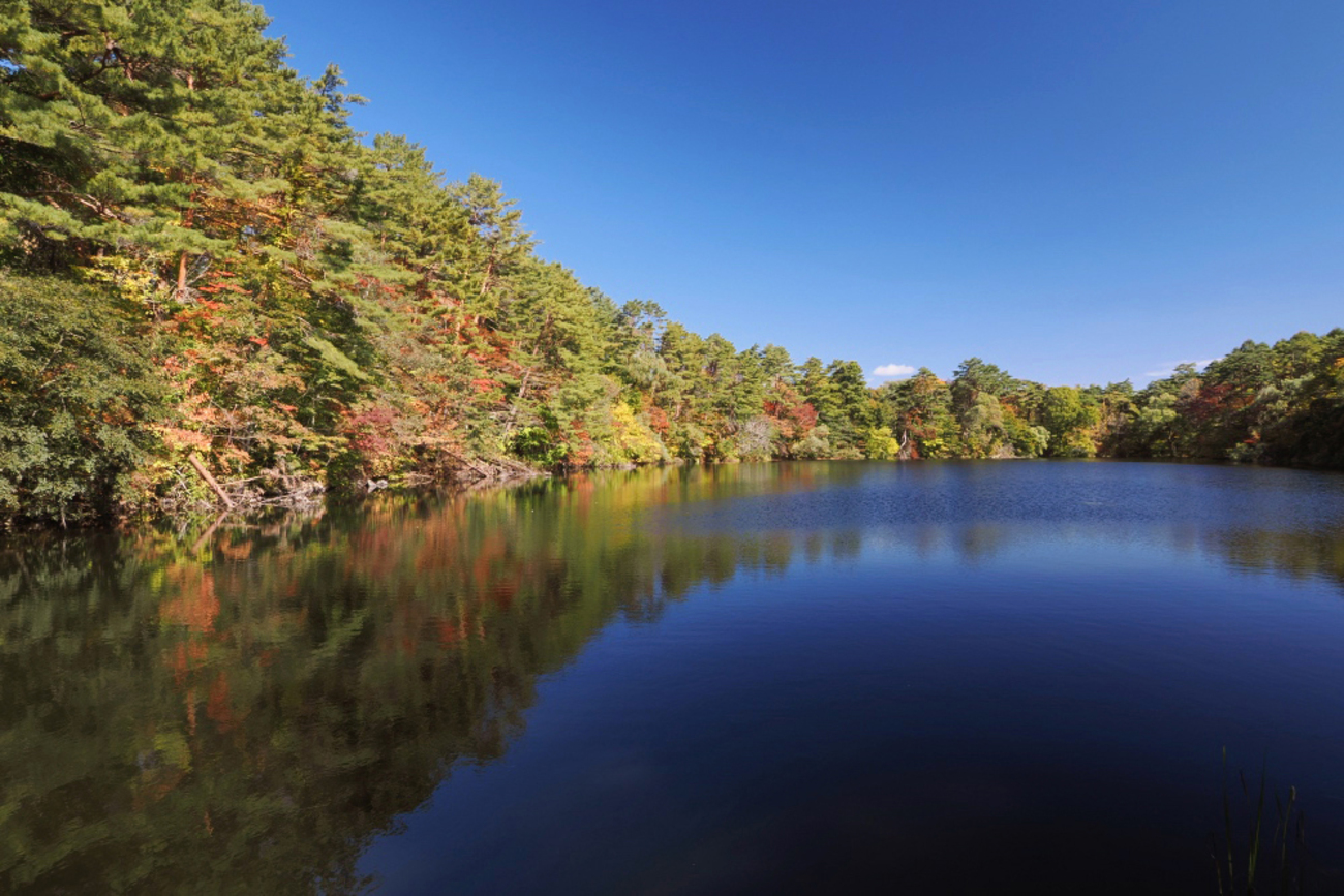 五色沼 自然探勝路