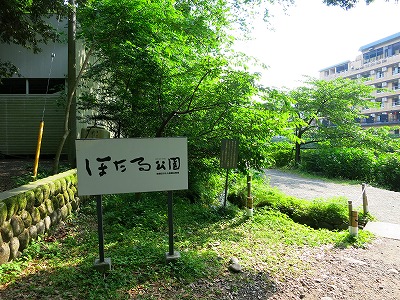 神奈川県足柄下郡箱根町 箱根湯本ほたる公園 蛍鑑賞 - 小田原な日々