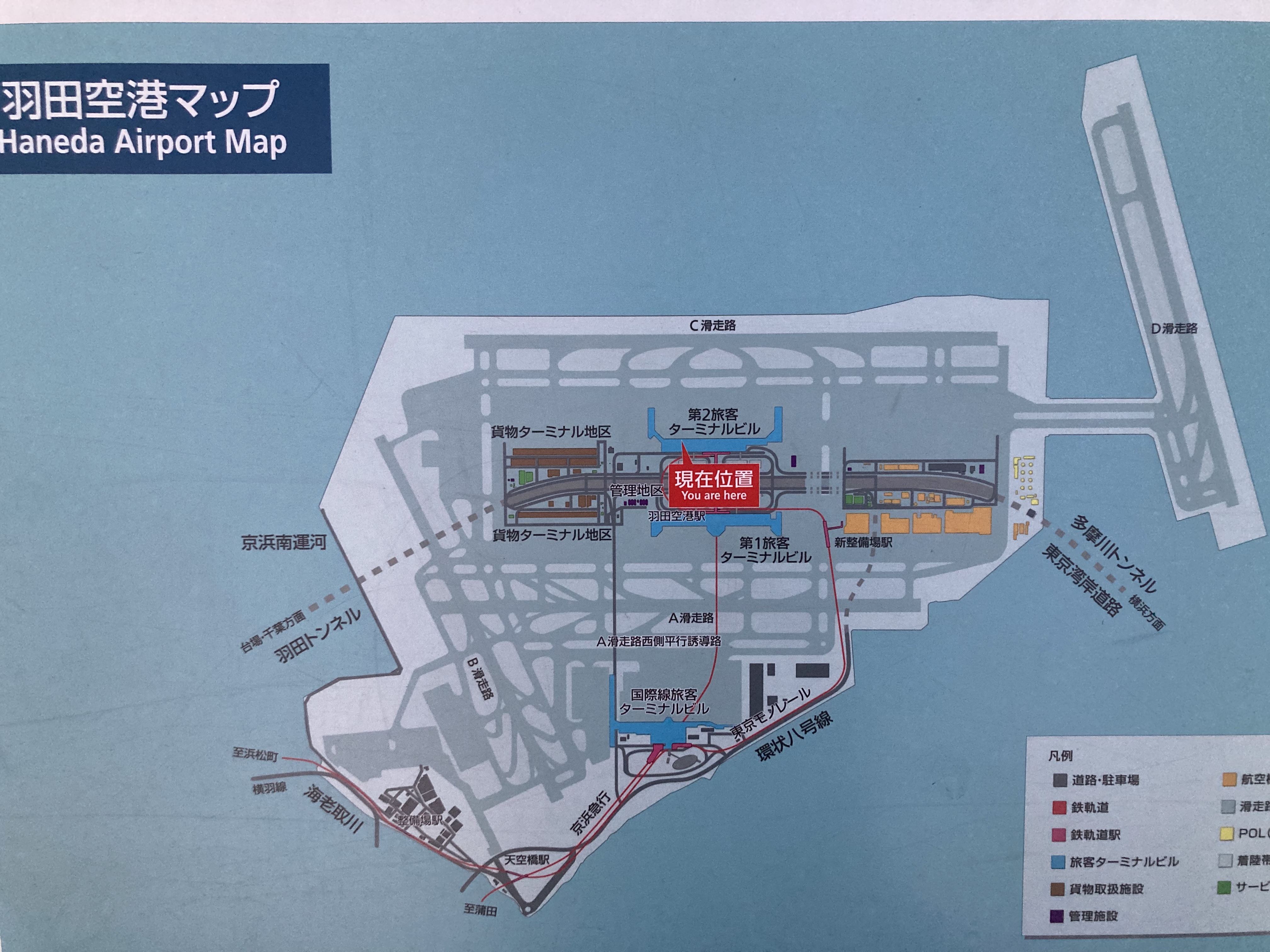 羽田空港国内線第2旅客ターミナルの 展望デッキ に行ってみた！ANA側。旅logシェア