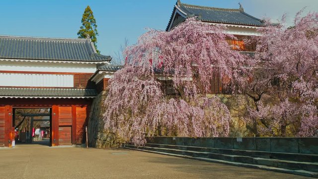 2ページ目上田城の写真素材写真素材なら「写真AC」無料 フリー ダウンロードOK