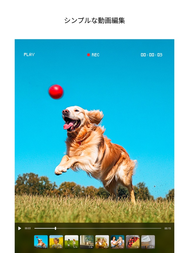 モルディブのエメラルドグリーンの海の中から眺めるビーチの写真素材78854926- PIXTA